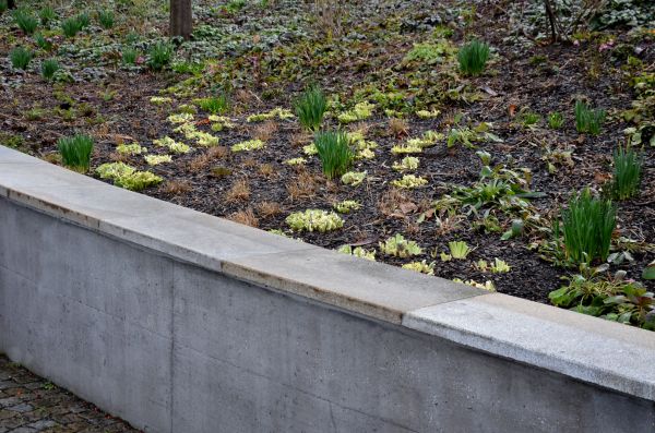 Concrete Wall Construction in Painesville