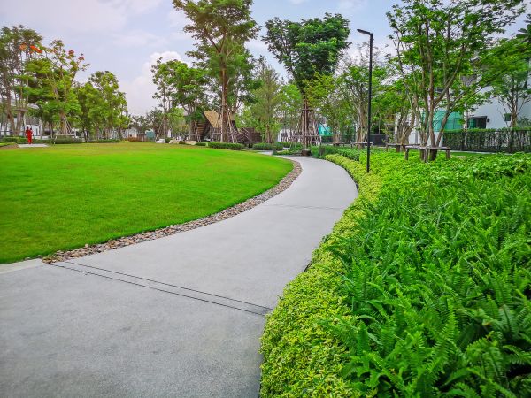 Cement Walkway Service in Painesville